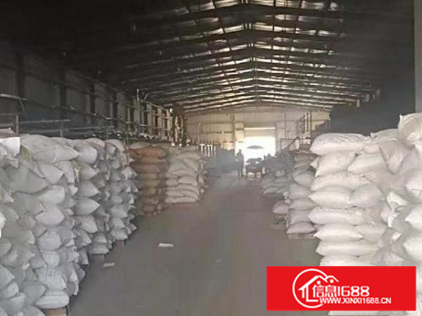 原房东独门独院单一层厂房出租