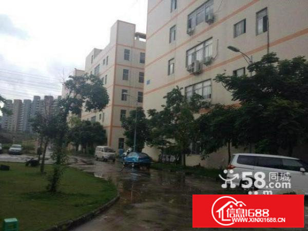 华荣路澳华工业区新出4楼450平带装修急租