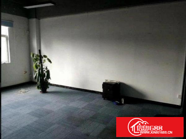 布吉花园式楼上700平带精装修无转让费