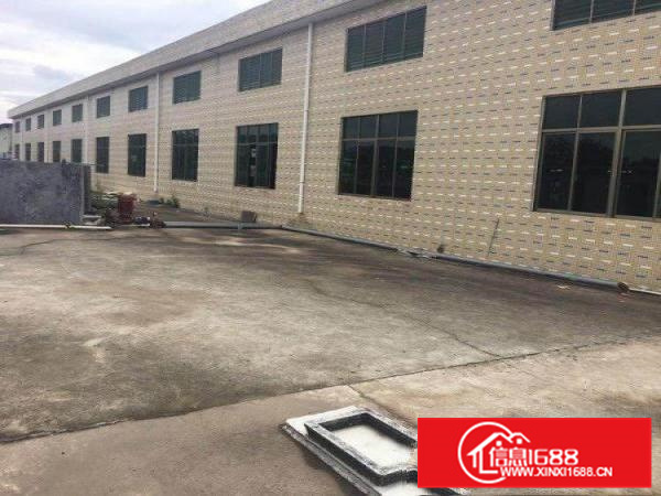 独门独院钢构厂房出租