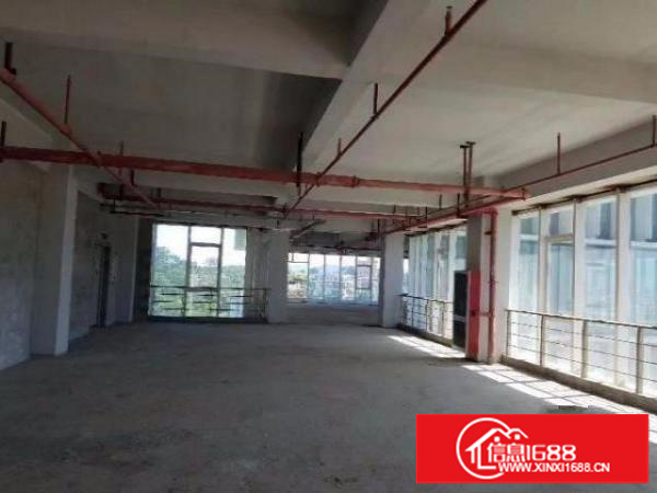 木棉湾地铁站新出电商园二楼300平出租;价格便宜