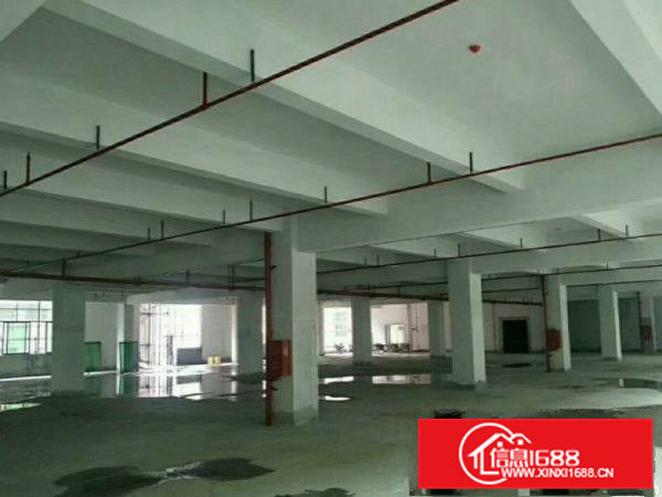 凤岗高速出口一楼厂房1200平方现成消防喷淋