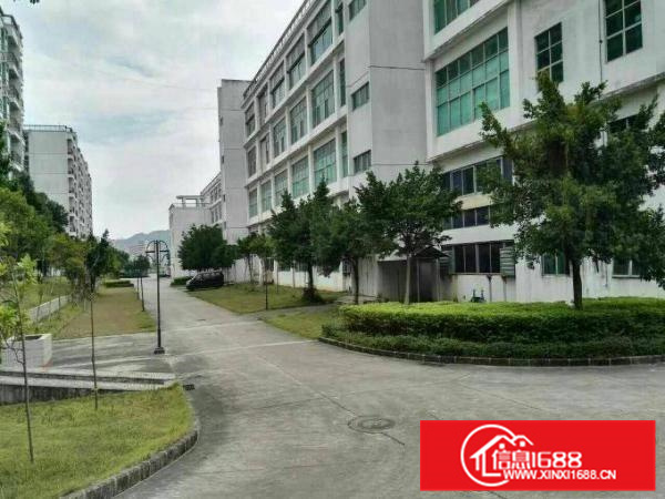 惠阳镇隆新出一二楼4000平米全新厂房形象好空地大