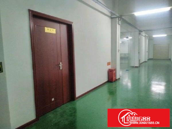 布吉丹竹头精装修厂房写字楼300平方起租