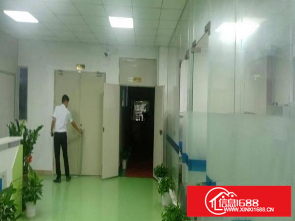龙东楼上带地坪漆带无尘车间厂房出租