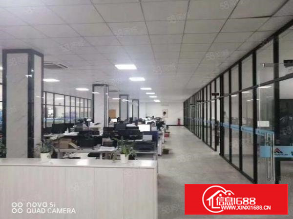 塘厦近深圳原房东小独院3800平方带装修低价急租