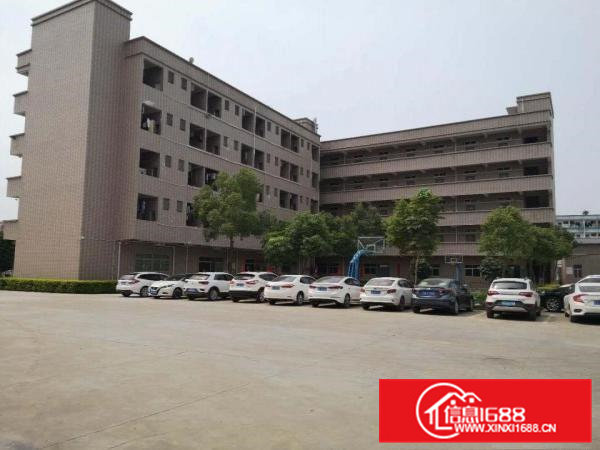 （电池厂房）清溪镇独院厂房4层10000平出租可分租