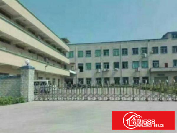 万江标准1出租5001500、2000平方出租形象漂