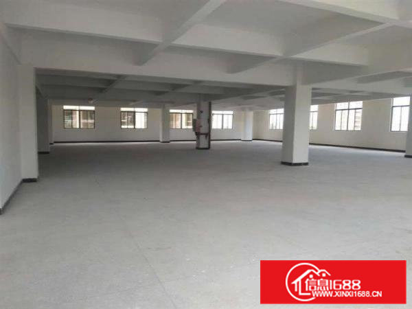 大岭山镇太公岭村标准楼上2楼700平厂房出租信息