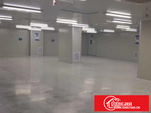 （无尘车间）深圳原房东厂房6000平出租带精装办公室可分租