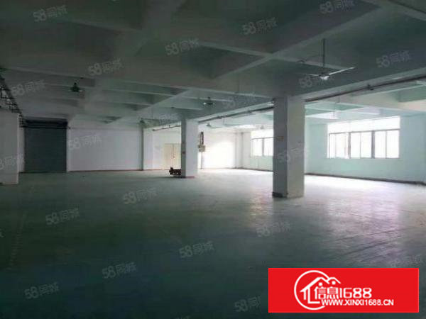 塘厦沙湖标准一楼1300平方出租，水电主线到位，园区交通方便