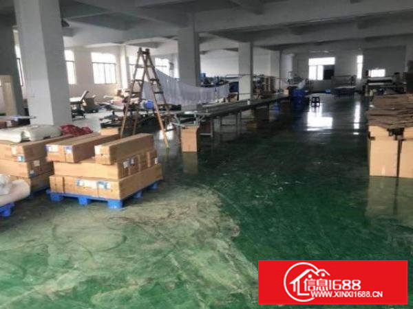 龙岗分租原房东独院标准厂房二楼1300平方，可环评