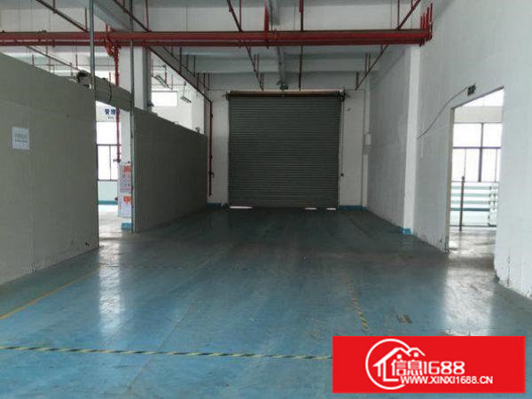 龙岗区华乐路工业区标准一楼厂房1300平方出租