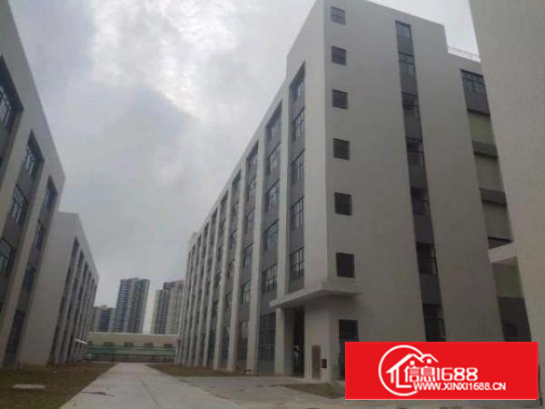 高埗新出独门独院花园式厂房出租总面积46500平方