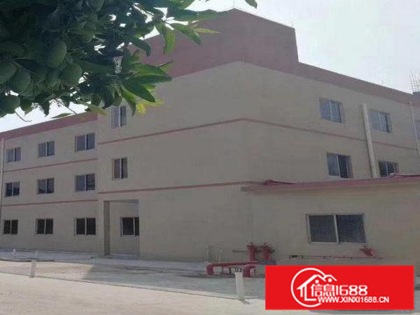 惠州新墟原房东小独院形象漂亮价格美丽2400平可分租