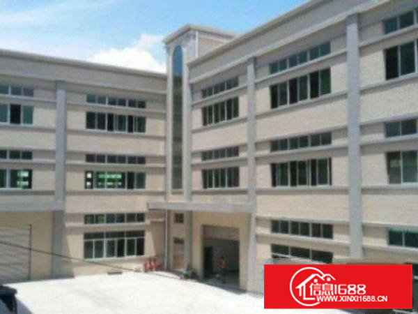 高埗独院标准厂房3200平方出租宿舍800平方现成水电,