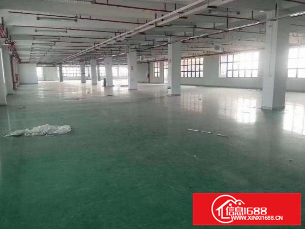 一楼2500平米）楼上2500平米共5000）厂房出租可分层