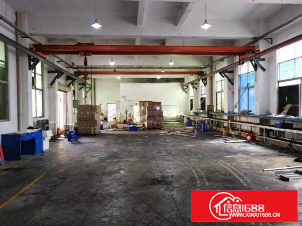 现成行车精装修办公室大岭山低价出租标准1楼550平