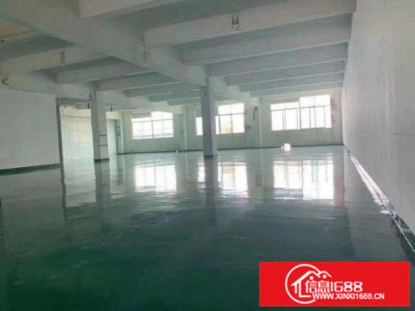 坪山碧岭红本独厂房招租1100平精装修免转让费水电齐全