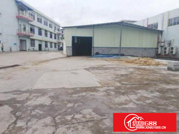 佛新新出全新独院钢构厂房550平米出租空地大