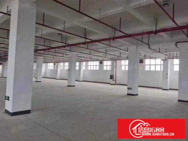 布吉早禾坑12000平方红本厂房出租，电梯