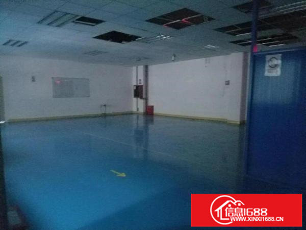 龙华清湖地铁口新出2400平厂房可分租