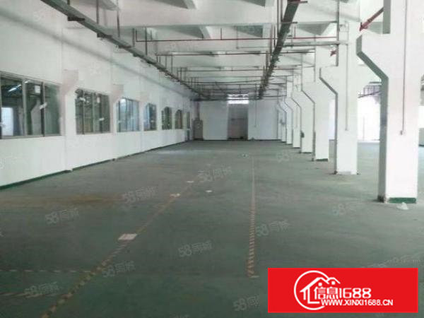 黄江镇田心村原房东独院6000平方米厂房出租一楼6米高近高速