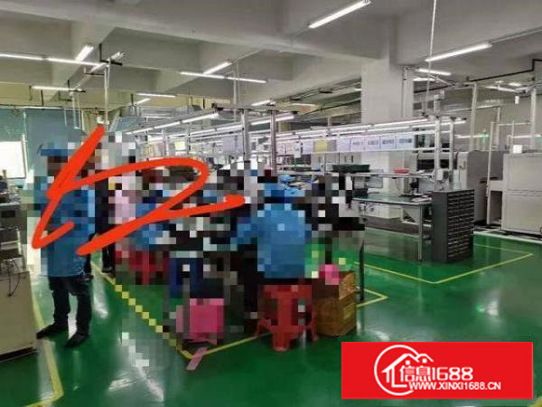 塘厦林村太阳城塑胶电子产业园厂房招租2400平方，水电齐全