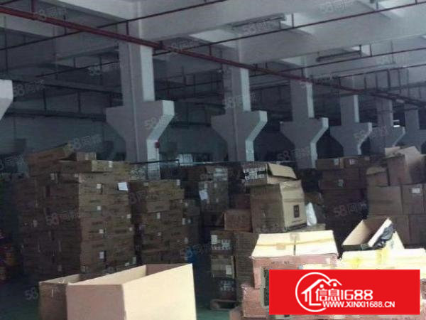 横沥镇三江工业区重工业原房东独门独院标准厂房一楼6米带牛角