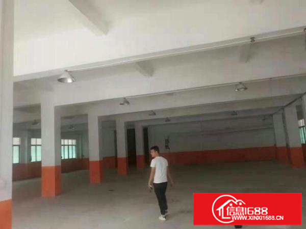 潼桥4300平米独院厂房出租可分租