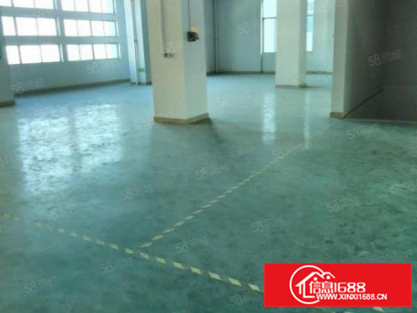 石岩应人石900平米带装修厂房业主招租