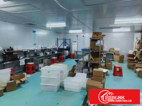 精装修，无尘车间出租，现成办公室水电，绿色地坪漆，拎包入住