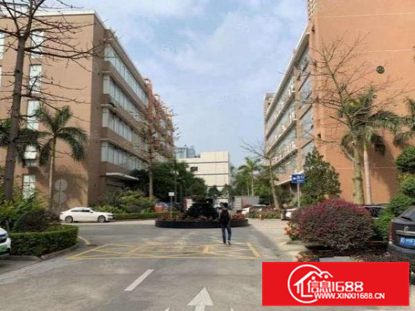 东坑镇可做环评标准厂房出租300平起分租园区有现成voc指标