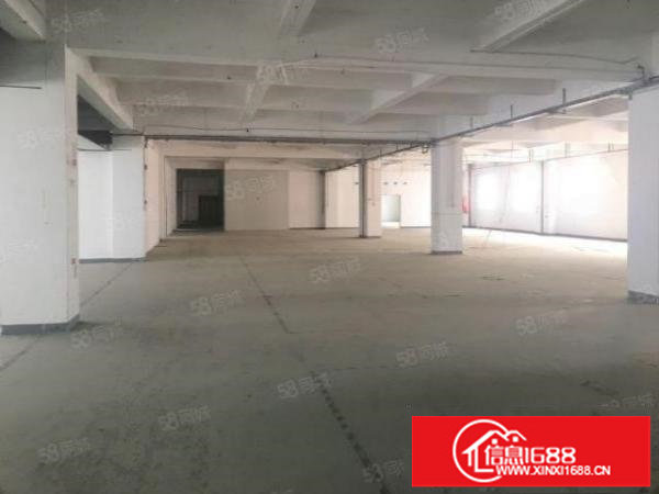 松岗107国道边上1500平独院出租可分租原房东无公摊