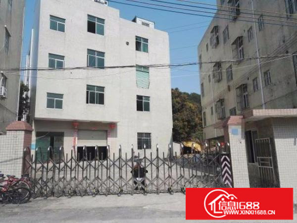 碧岭经典小独院2800平厂房出租