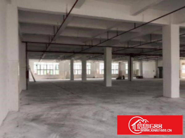 万江九成新经典独院标准楼房厂房宿舍共7000平方出租