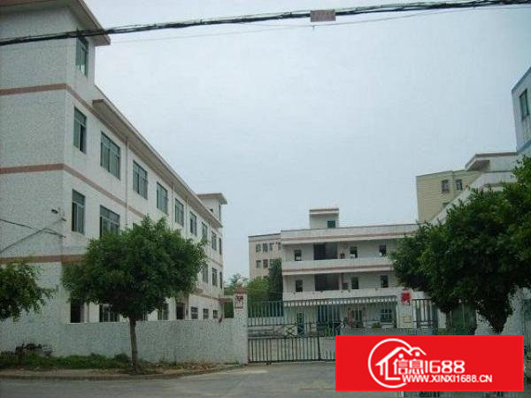 石排新岀独院厂房分租二楼精装修700平方出租