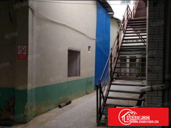 工业园标准一楼，1000平米低价16块出租