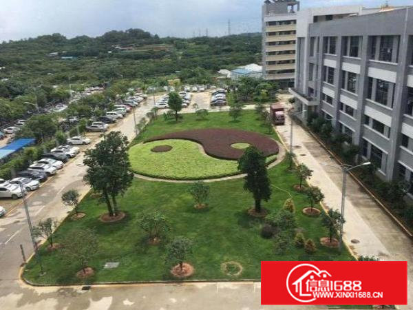 常平独院高端大气标准厂房13层10000平宿舍2000平