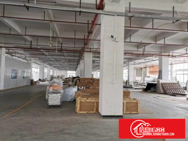 清溪三中靠凤岗原房东500平方起租