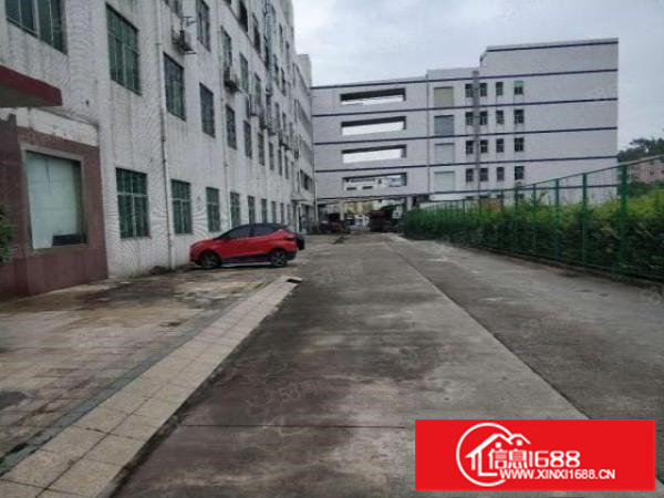 横岗六约牛始埔村新出村委一楼1100平方价格低至25元