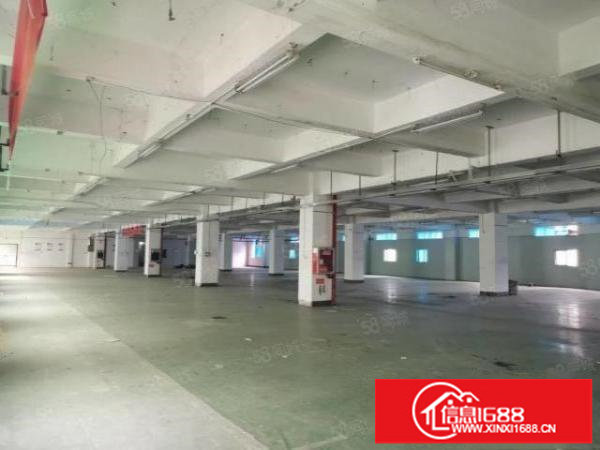 龙岗区横岗六约一楼1100平二楼2400平出租，可分租