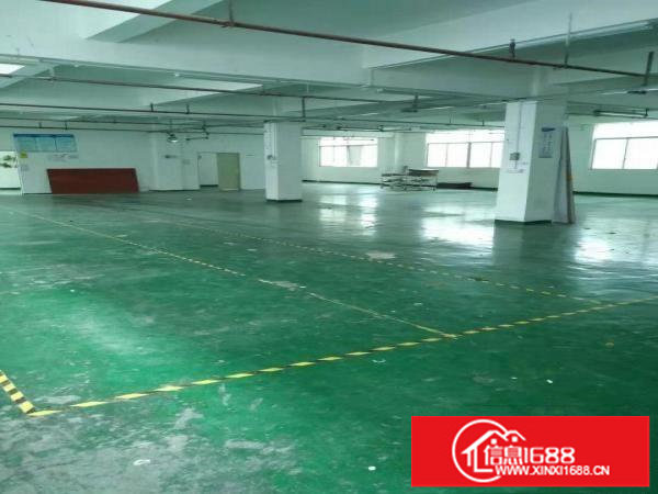 出租坂田2楼整层1500平米红本厂房