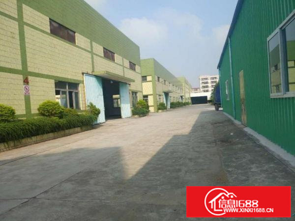 大岭山厚大路边大片美原房东1500平厂房出租带无尘车间