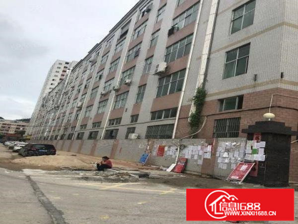 大芬油画厂房仓库招租80000平大小可分