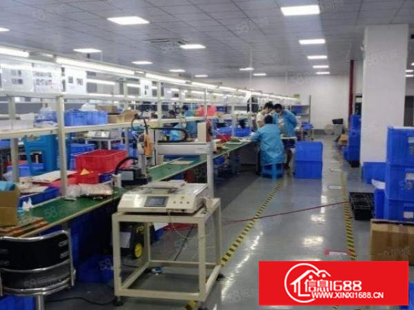 豪华精装修厂房招租，面积1800平。