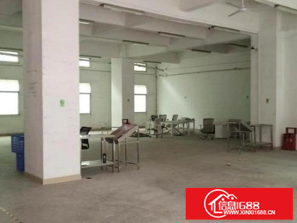 坂田地铁口新出一楼厂房768平物流仓储水电齐全带家具无转让费