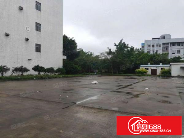 坪山一楼1000平厂房出租空地大合同长可装峰谷平大小分租