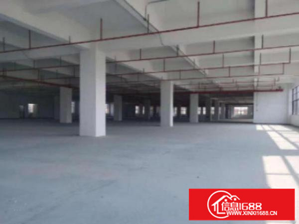 高埗标准厂房一到三层，每层有2000平方，可以分租