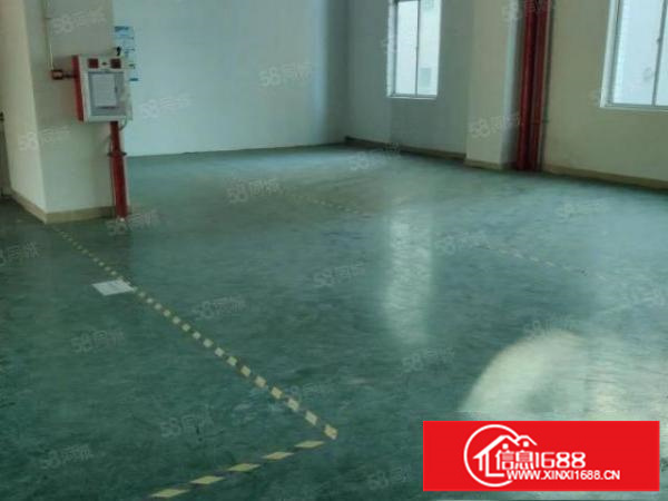 石岩应人石900平米带装修厂房业主招租